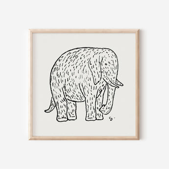 Elephant Drawing