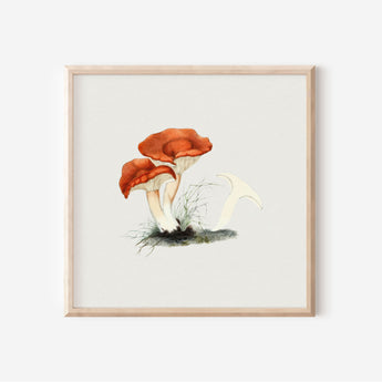 Square Mushroom Print